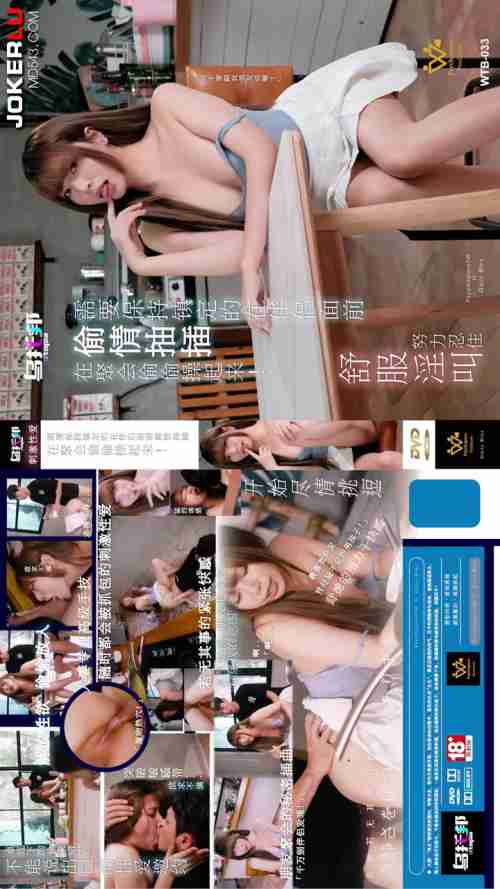 WTB-033 Secretly Fucking at the Party